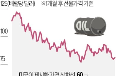 서방, 러 원유값 상한…60弗선에 합의할 듯