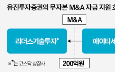 에이티세미콘 무자본 M&A 지원한 유진증권…결국 CB 차익은 에디슨모터스 세력이 챙겨