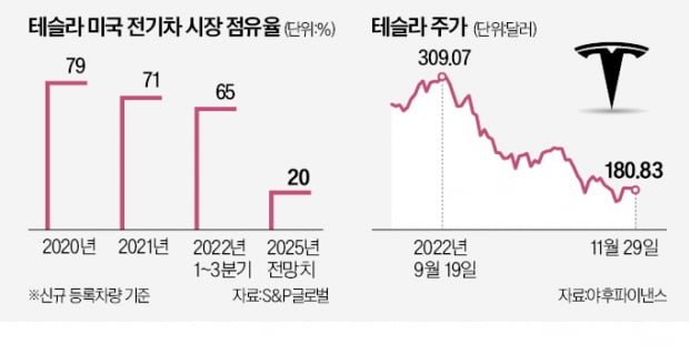 심상찮은 테슬라…美 점유율 14%P '뚝'