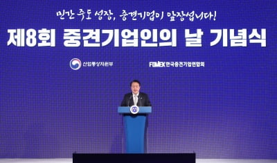 윤 대통령, 중견기업 패키지형 지원 추진