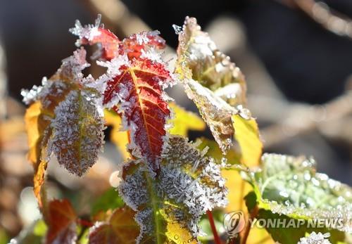 고성 등 강원 3곳 한파주의보 해제…태백 등 10곳 건조주의보