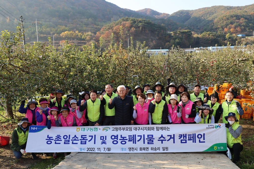 [대구소식] 대구농협-고향주부모임, 영천서 사과 수확 봉사