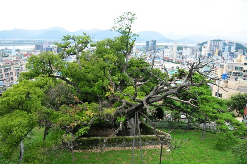 문화재 보존지역 1천600여 곳 손본다…"불필요한 규제 풀 것"(종합)