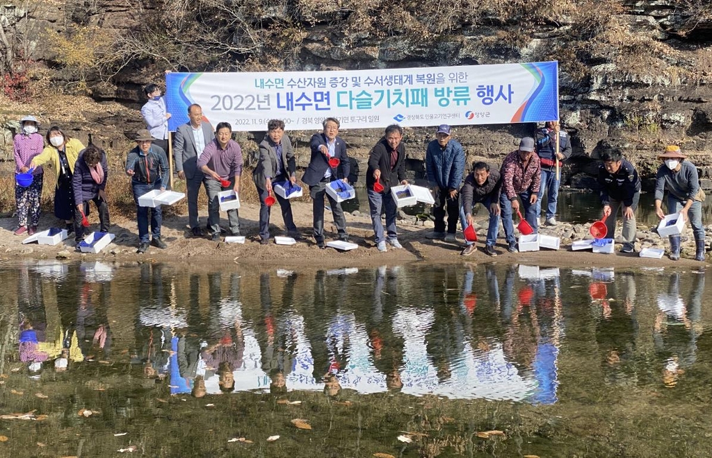 경북도 수자원연구원, 영양군 동천에 어린 다슬기 9만마리 방류