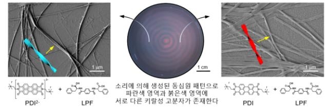 부작용 없앤 의약품 개발 가능성↑…소리로 쌍둥이 분자 격리