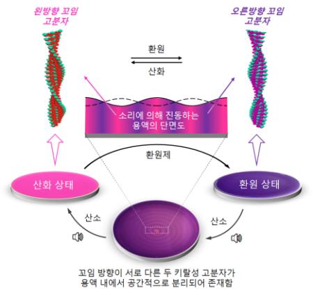 부작용 없앤 의약품 개발 가능성↑…소리로 쌍둥이 분자 격리