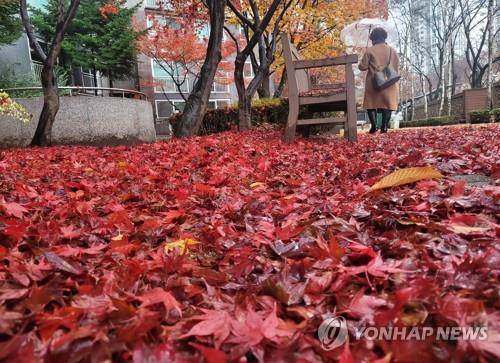 전북 구름 많다가 차차 맑아져…낮 최고 15∼20도