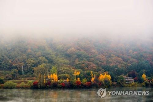 강원 내륙 짙은 안개, 낮과 밤의 기온 차 커