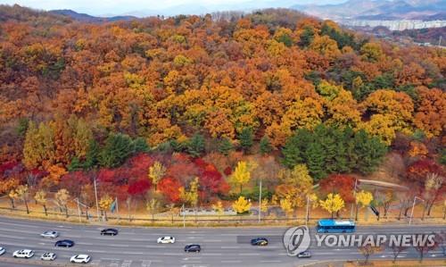 경북 북부내륙 오전까지 짙은 안개…큰 일교차