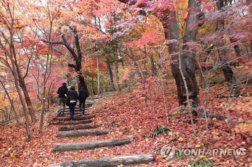 전북 구름 많다가 밤부터 흐려져…미세먼지 '보통'