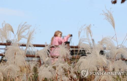 충북 맑다가 구름 많아져…낮 최고 16∼19도