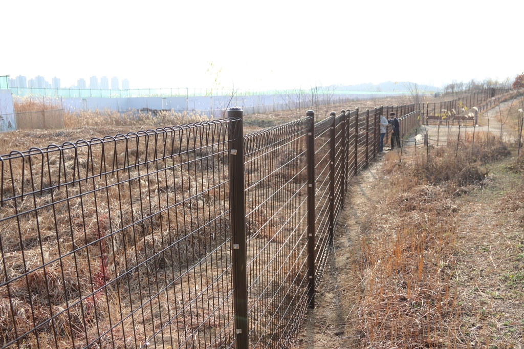 "고라니와 공존"…세종수목원, 울타리 설치하고 서식공간 마련