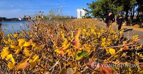 입동도 한참 지났는데 포근한 이유…'북극에 찬공기가 갇혔다'