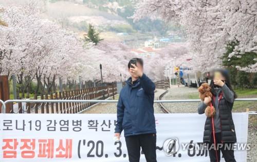 봄꽃 축제 대명사 진해군항제 어떻게…내년 4년 만에 개최