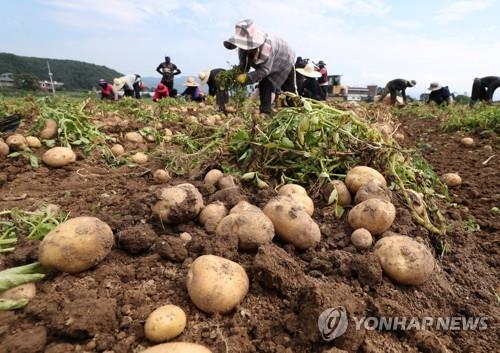 강원도, 내년 '반값 농자재 지원'에 572억원 신규 투자