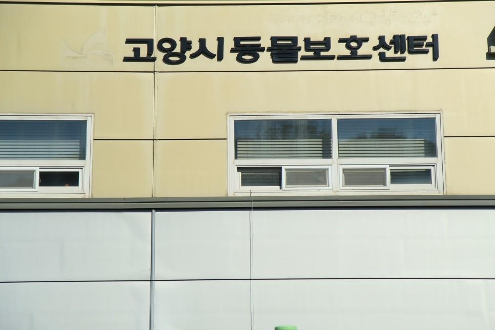 '반려 인구 30만' 고양시, 대한민국 동물복지 우수상 수상