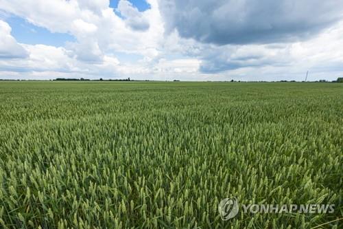 식품 세계화, 공급망 혼란에 오히려 가격급등 요인으로