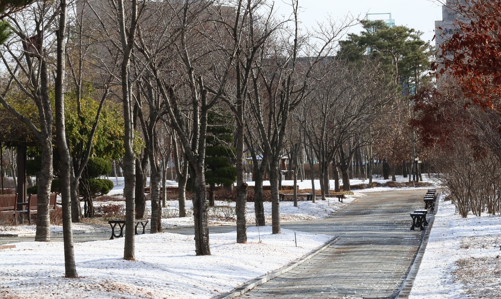 [사진톡톡] 첫눈 내린 내포신도시