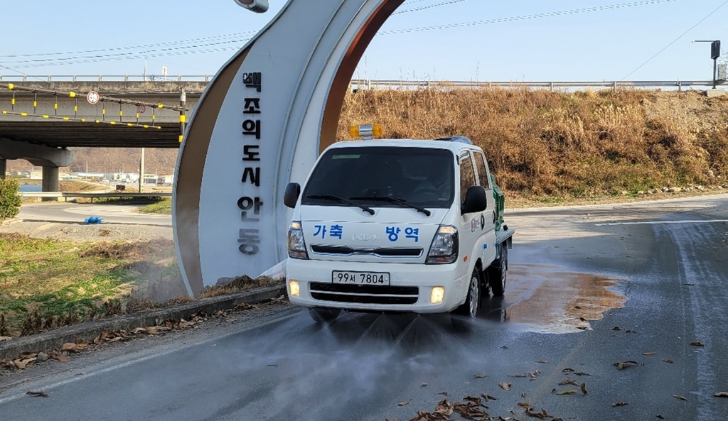 안동 백조 공원 폐사 고니 고병원성 조류인플루엔자 확진