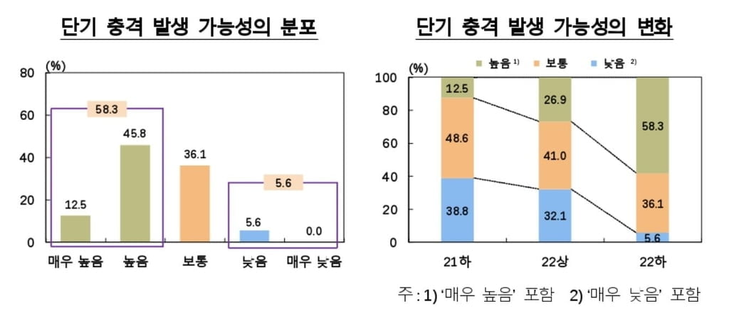 전문가 10명 중 6명 "1년 내 금융위기 충격 가능성 높다"