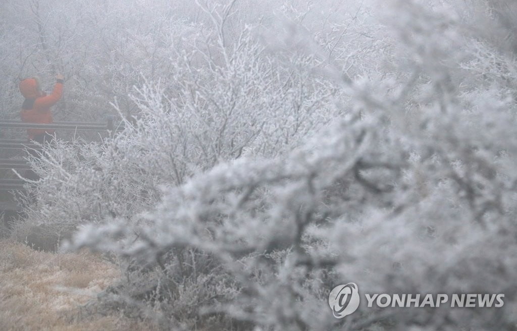 제주 해안·한라산 '첫눈'…평년보다 열흘 빨라