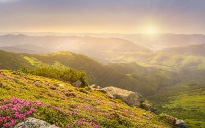 아이와 가상의 숲 '세컨포레스트' 가꿔봐요! 산림청, 닷새간 진행