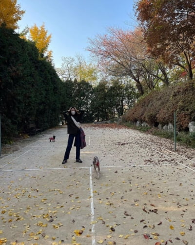 '케빈오♥'공효진, 반려견과 산책중...이정현 "보고 싶은 새댁"