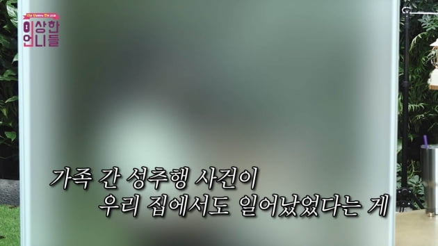 김현숙, '딸 성추행한 두 번째 남편' 사연에 "범죄 될 수 있다" 우려('이상한 언니들')