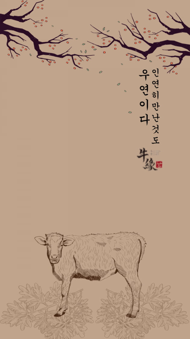 부산은행X우연, 17일 오후 5시 '한우세트 특가전' 쇼핑라이브…방송 중 특별 혜택
