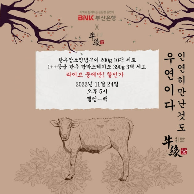 부산은행X우연, 한우세트 초특가 쇼핑라이브 앵콜전…24일 오후 5시