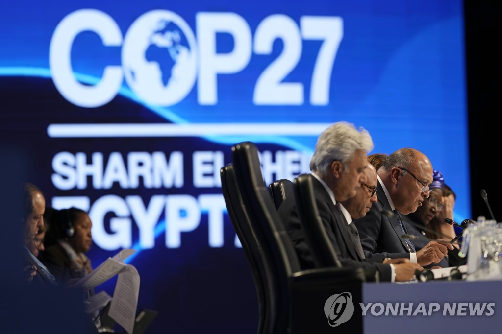 파리협정 후 최대 성취 혹은 손실…COP27의 5가지 포인트[BBC]