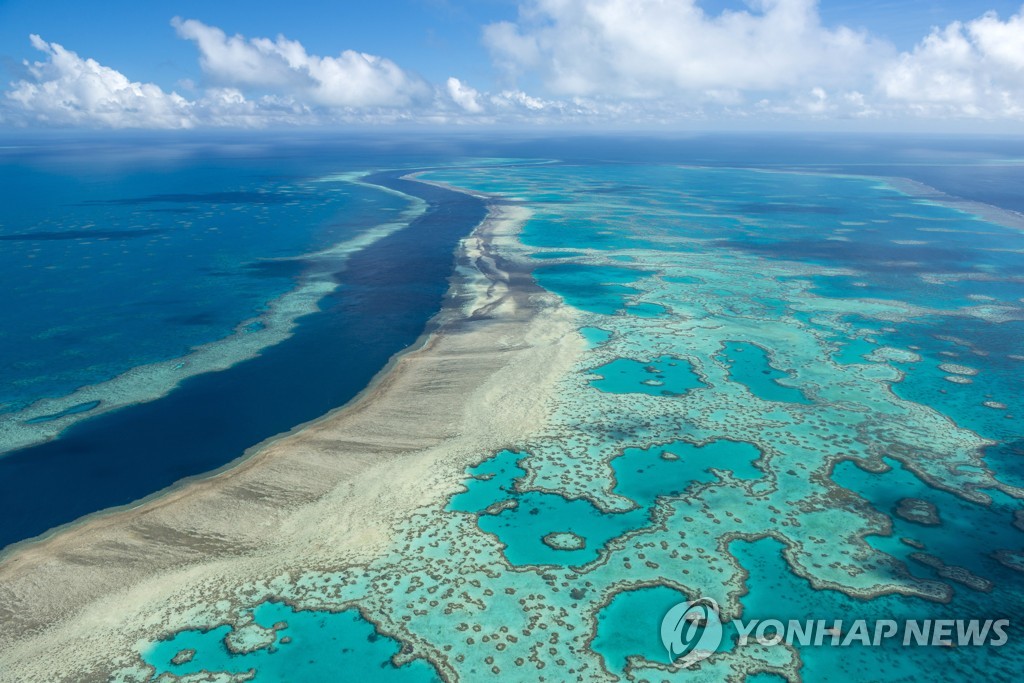 유네스코 "호주 대산호초, 세계유산 '위험' 목록에 올려야" 압박