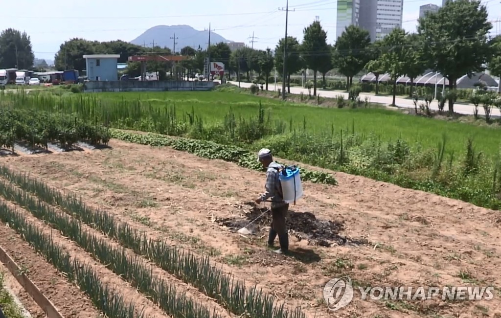 부산도 한 달째 이어지는 가뭄…평년대비 강수량 61%