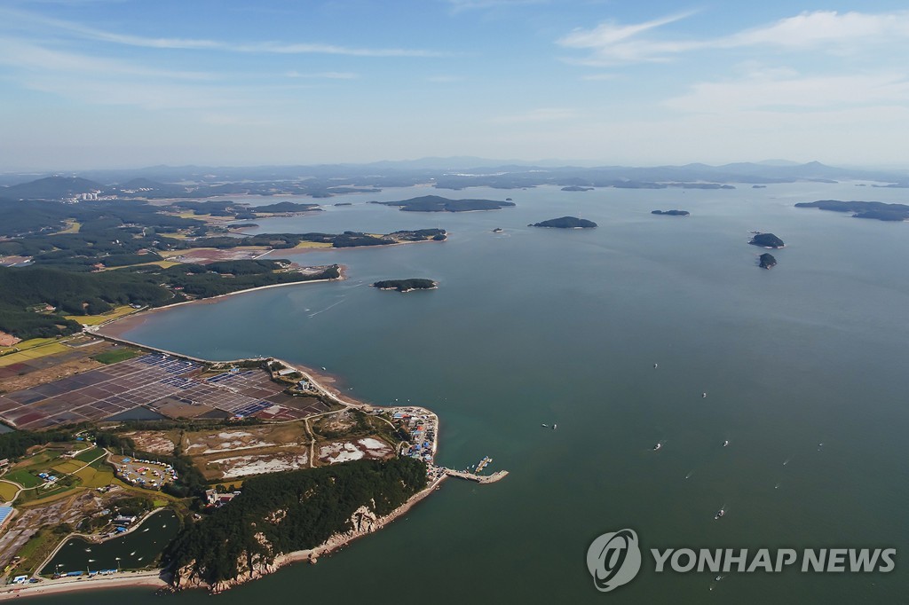 해수부·기아, 블루카본 협력 업무협약…갯벌 식생 복원키로