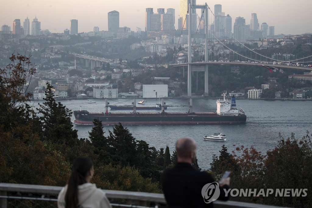 러 복귀 후 흑해 곡물 협정 이행 재개…외교 공방은 지속