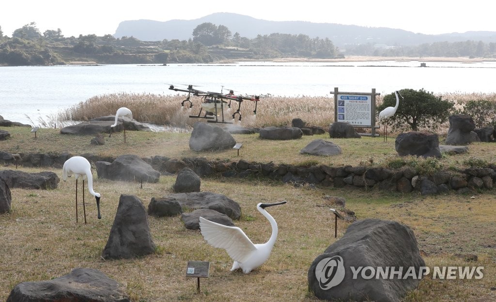 제주 성산 해안 야생조류 분변서 고병원성 AI 검출