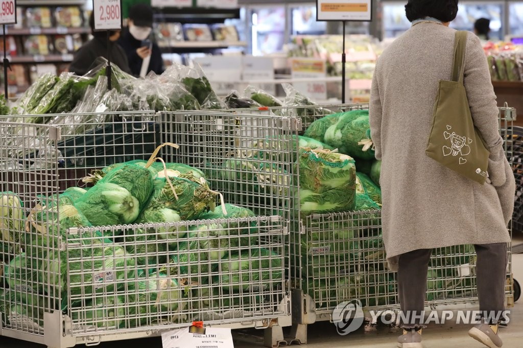 두 달전 1만원하던 '금배추' 3천원대로 폭락…무 가격도 30%↓