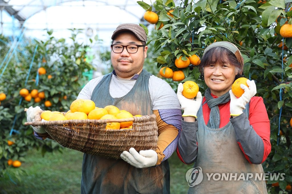 "알고 먹으면 더 맛있다!"…제주 감귤 이야기