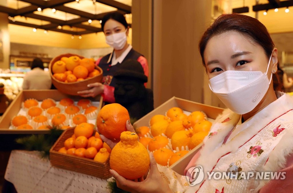 "알고 먹으면 더 맛있다!"…제주 감귤 이야기