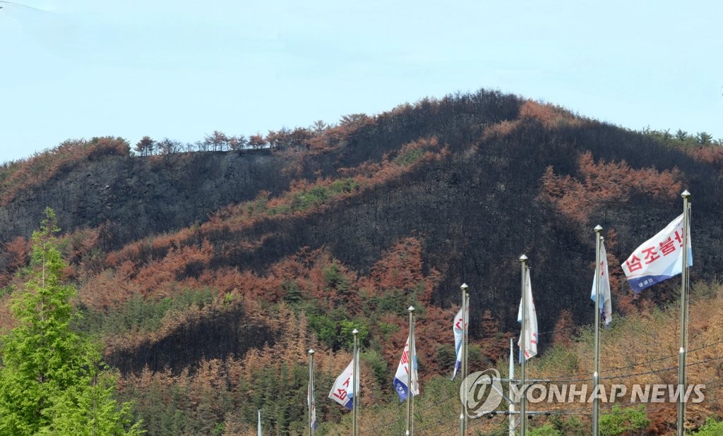 봄철 대형산불 겪은 동해시, 가을철 산불방지 '총력' 대응