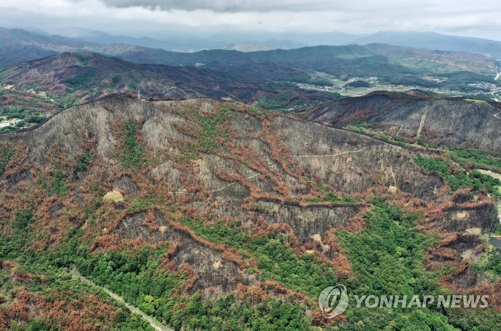 경북도, 가을 산불방지대책본부 가동…헬기 34대 출동태세