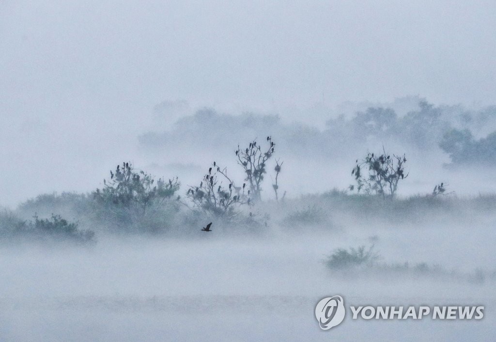 강원 15도 내외 큰 일교차…내륙·산지 짙은 안개