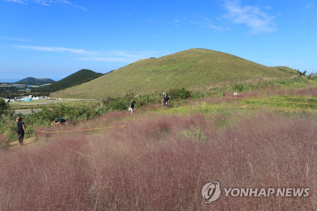 제주 맑고 건조한 날씨…"산불 등 화재 주의"