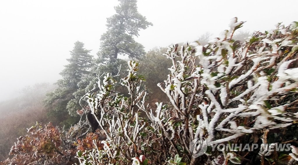 '춥다 추워' 전북 첫눈 관측…작년보다 7일 늦어