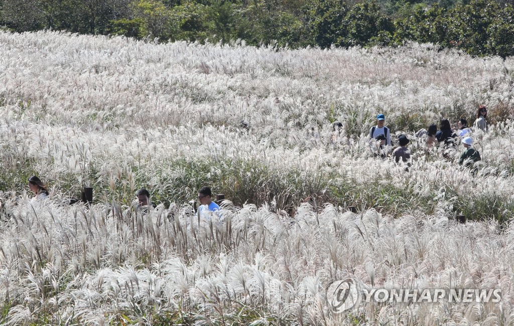 제주 맑고 일교차 커…낮 최고 15∼17도