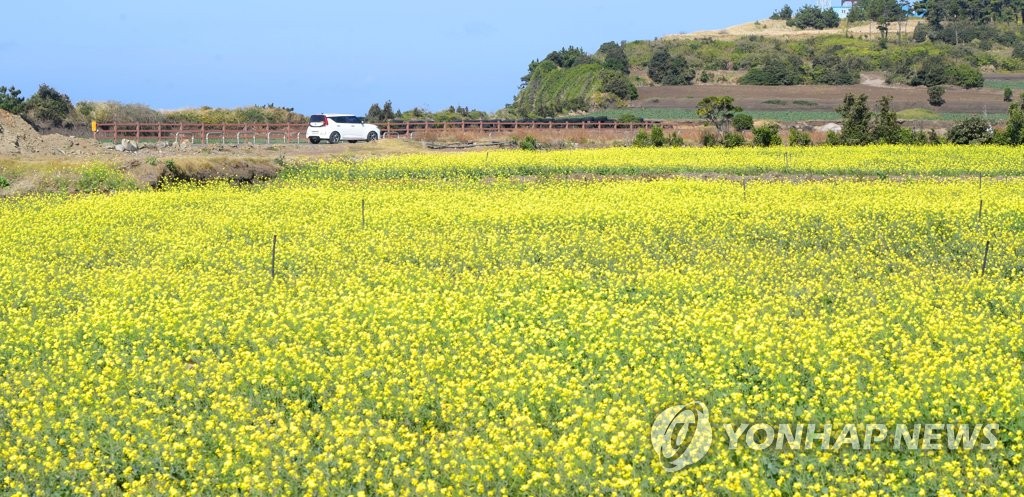 제주 맑은 날씨…안개로 교통안전 주의