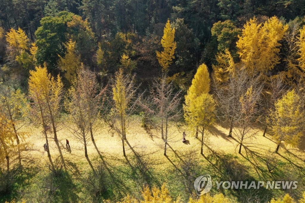 전북 구름 많고 일교차 커…미세먼지 '보통'