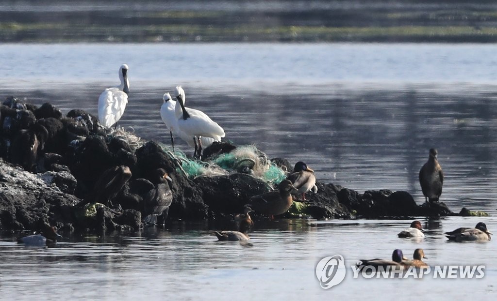 제주 흐리고 비…낮 최고기온 22∼24도