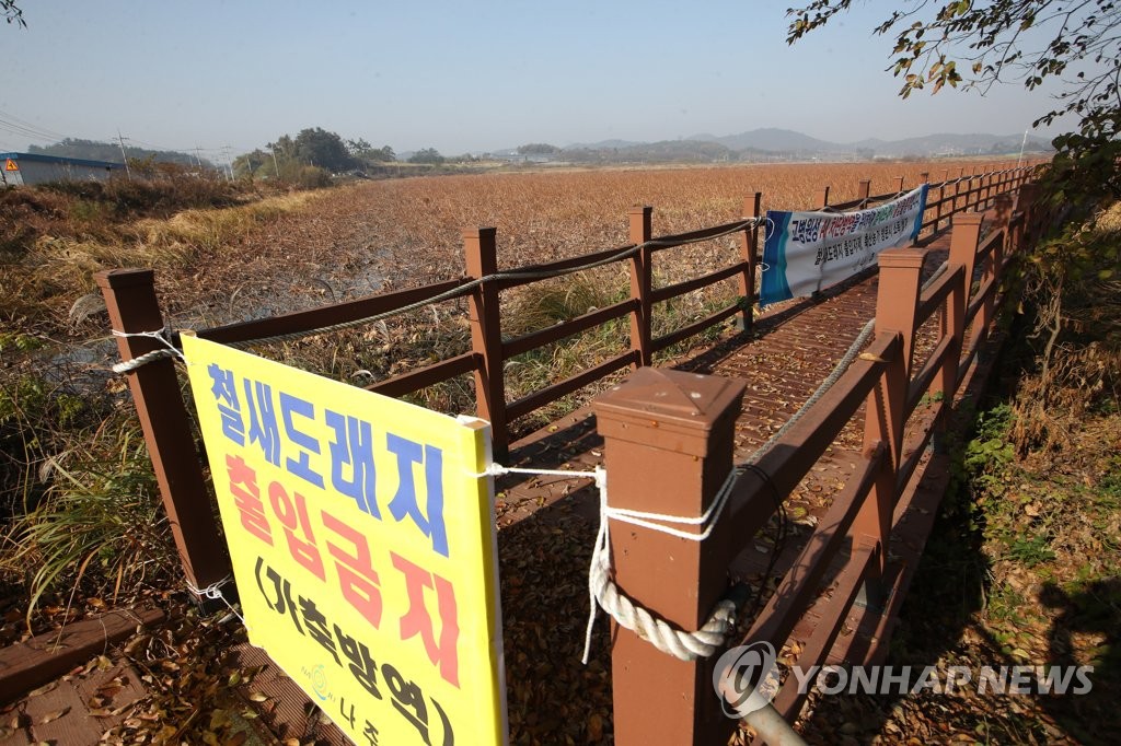 청주 종오리농장서 또 AI 항원…4천200마리 살처분