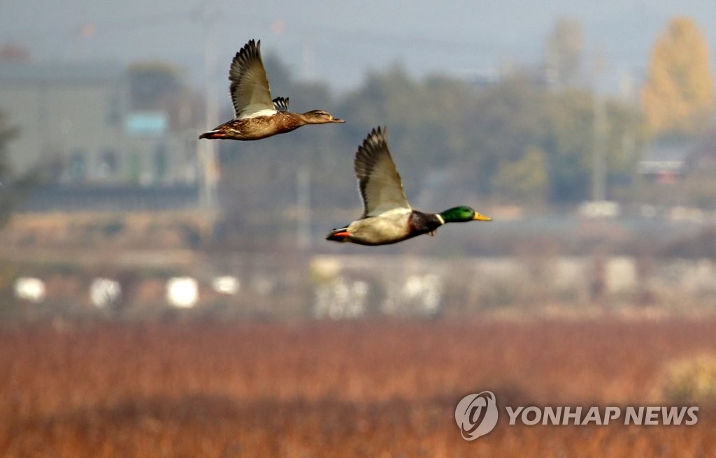 "AI 유입될라"…청주동물원 조류동물사 관람 중지